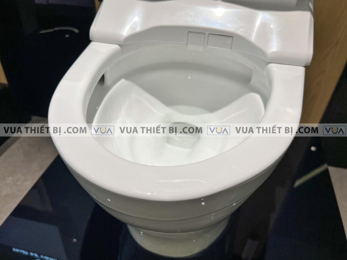 anh thuc te bon cau 1 khoi toto ms887crw15 nap rua dien tu tcf24460aaa 9