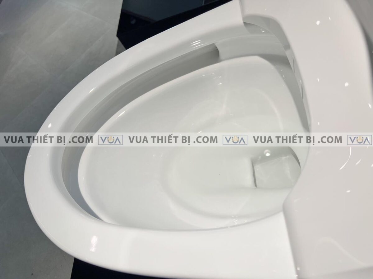 anh thuc te bon cau 1 khoi toto ms887rw16 nap rua dien tu tcf23410aaa 12
