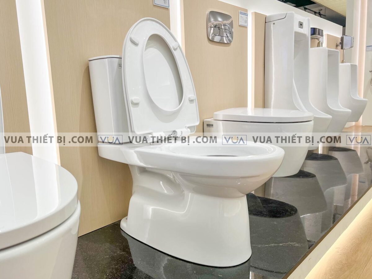 anh thuc te bon cau 2 khoi inax ac 514van aqua ceramic 6