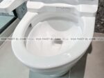 anh thuc te bon cau 2 khoi toto cs767rw7 nap rua dien tu tcf6631a 8