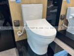 anh thuc te bon cau 2 khoi toto cs769de4 cs769dre4 nap rua co tcw1211a 2