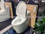 anh thuc te bon cau dien tu toto c971 tcf9433a 12