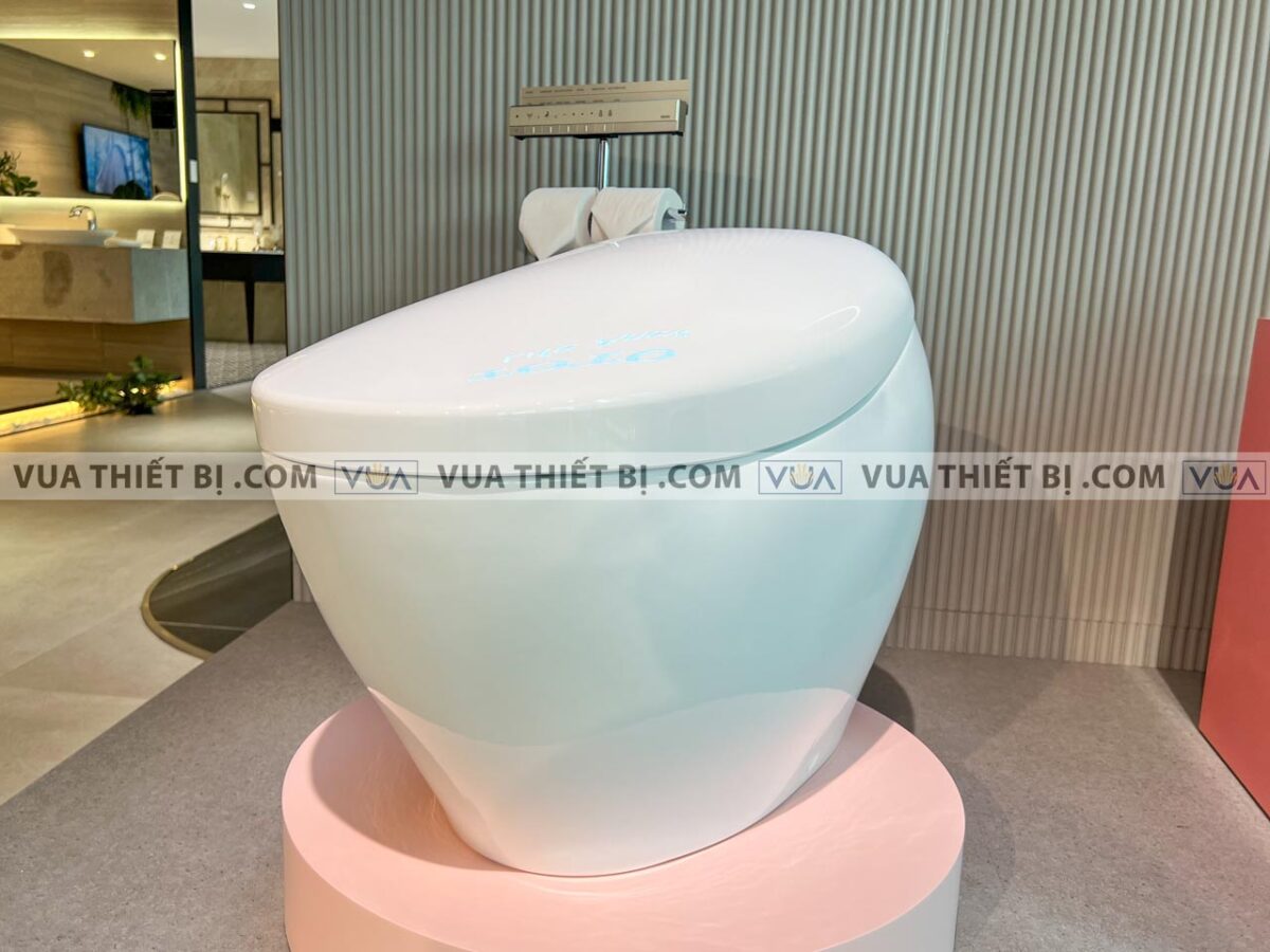 anh thuc te bon cau dien tu toto cs901kvt t53p100vr neorest nx ii 2