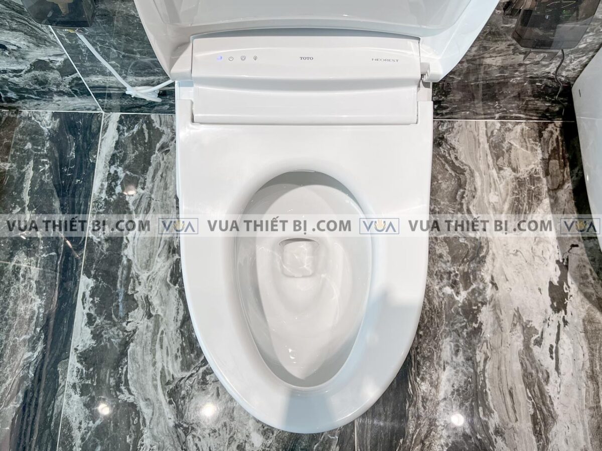 anh thuc te bon cau dien tu toto cs989vt tcf9768wz t53p100vr neorest rh 8