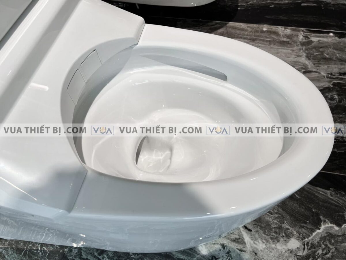 anh thuc te bon cau dien tu toto cs989vt tcf9768wz t53p100vr neorest rh 9