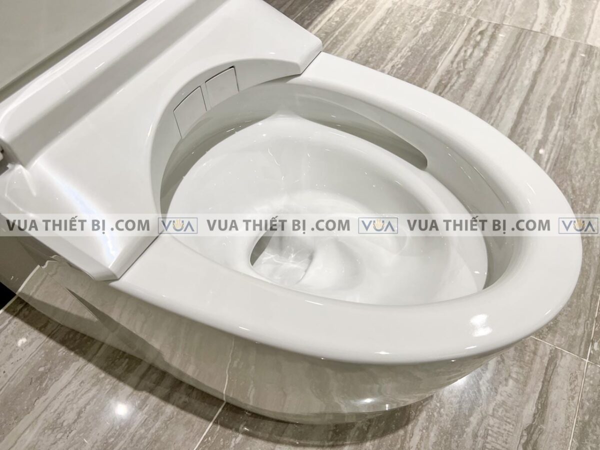 anh thuc te bon cau dien tu toto cs989vt tcf9788wz t53p100vr neorest ah 10