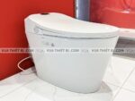 anh thuc te bon cau dien tu viglacera v94 1