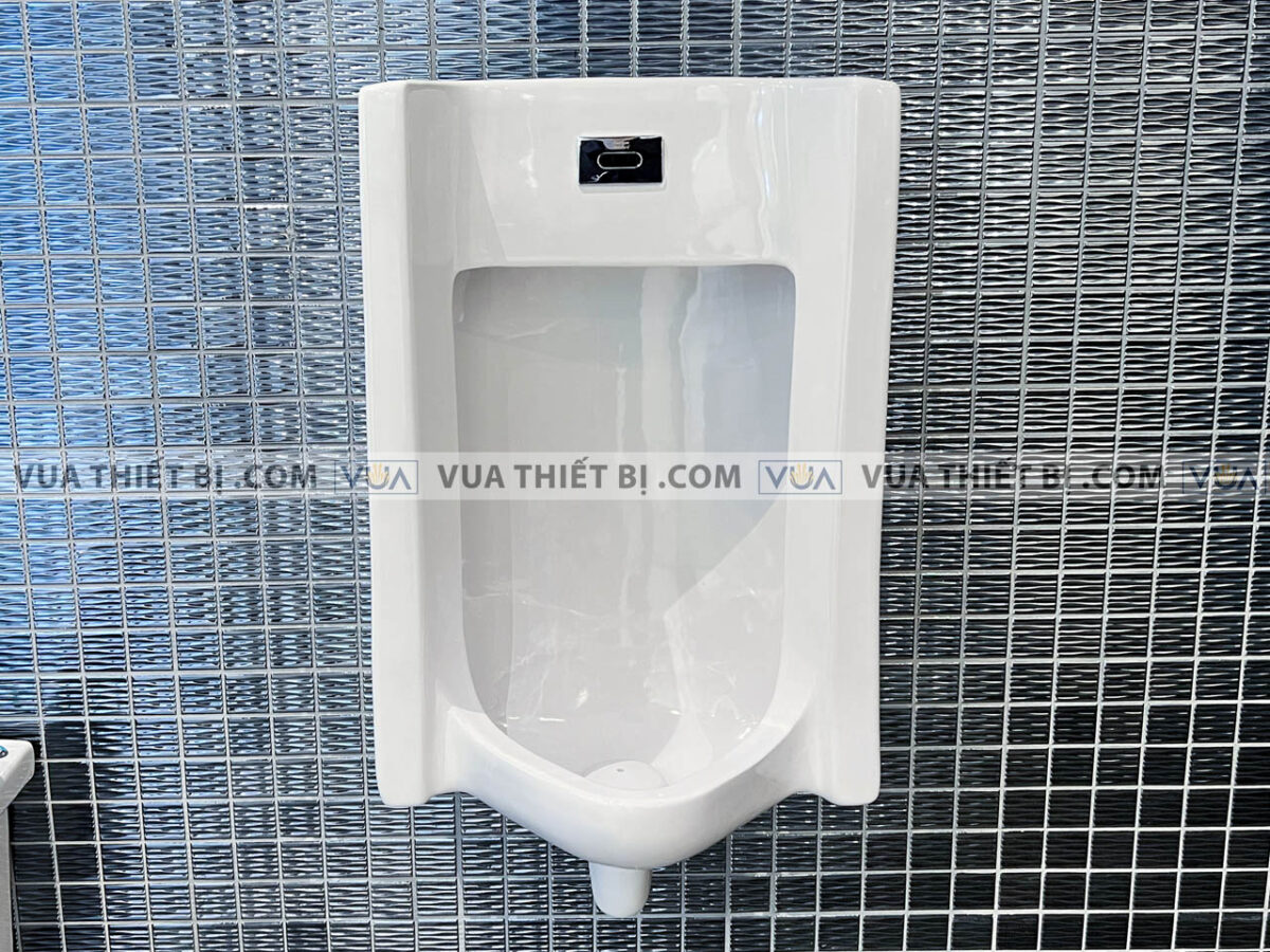 anh thuc te bon tieu nam american standard wp 6506 2