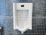 anh thuc te bon tieu nam american standard wp 6506 2