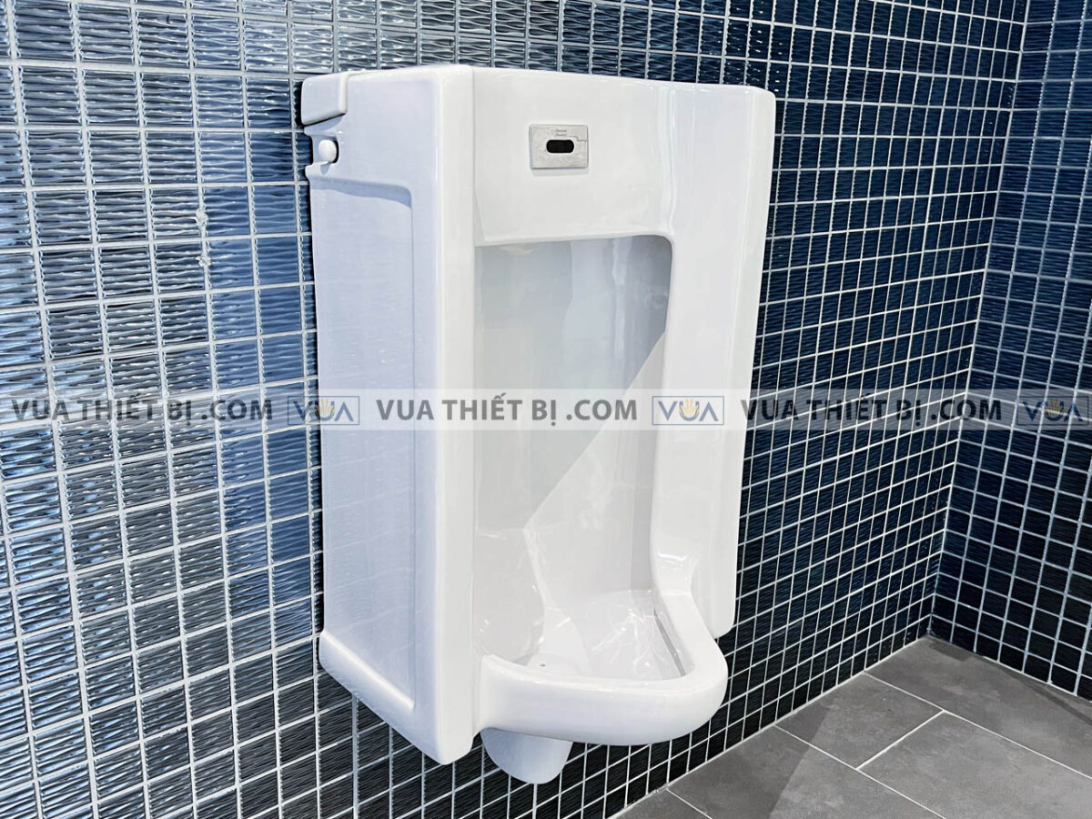 anh thuc te bon tieu nam american standard wp 6506 3