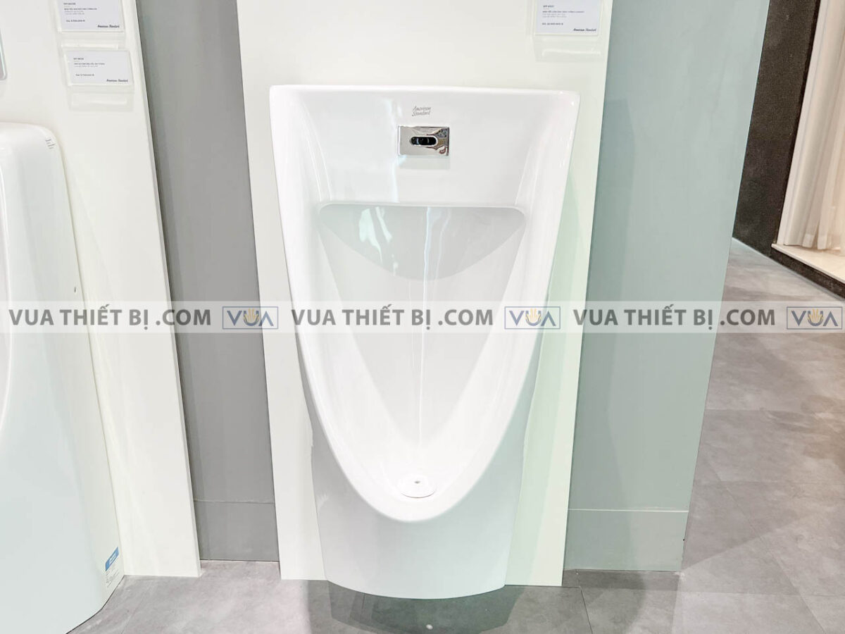 anh thuc te bon tieu nam american standard wp 6507 3