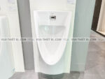 anh thuc te bon tieu nam american standard wp 6507 3