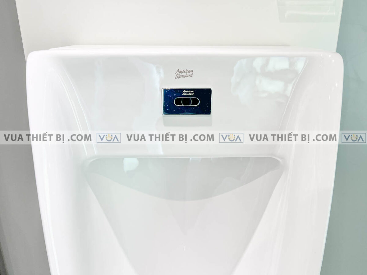anh thuc te bon tieu nam american standard wp 6507 5
