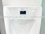 anh thuc te bon tieu nam american standard wp 6507 5