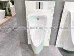anh thuc te bon tieu nam american standard wp 6605b wf 8604 4