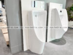 anh thuc te bon tieu nam american standard wp 6605b wf 8604 5