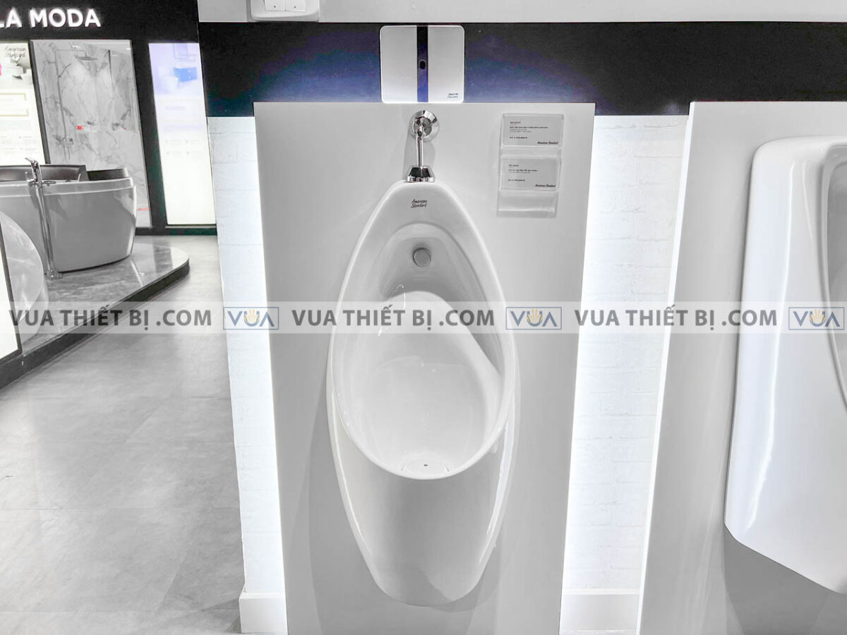 anh thuc te bon tieu nam american standard wp 6737t wp 8604 4