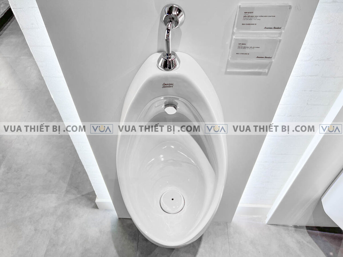 anh thuc te bon tieu nam american standard wp 6737t wp 8604 6