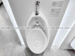 anh thuc te bon tieu nam american standard wp 6737t wp 8604 6