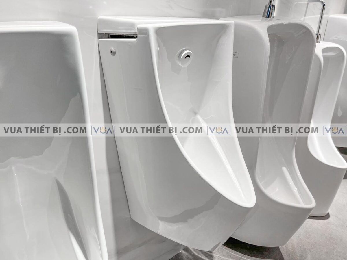 anh thuc te bon tieu nam toto uswn902aev cam ung 4