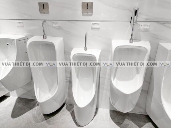 anh thuc te bon tieu nam toto ut508t dat san 1