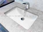anh thuc te chau lavabo american standard 0459 wt am ban voi wf 8831 wf 8832 2