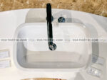 anh thuc te chau voi lavabo american standard a 1375 wp f626 3