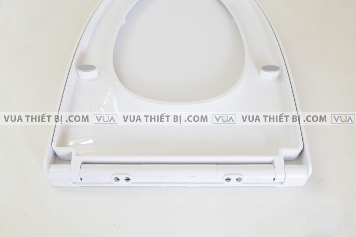 anh thuc te nap bon cau inax cf 832vs cf832vs roi em 5