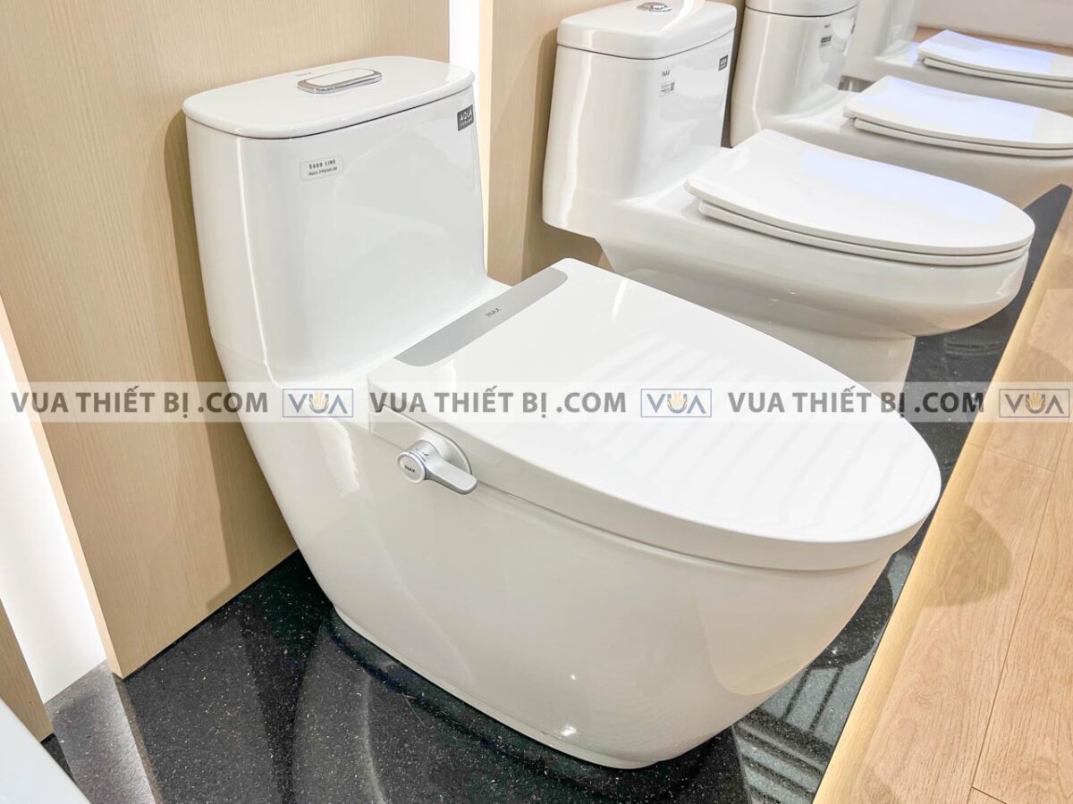 anh thuc te nap bon cau inax cw s32vn rua co 3