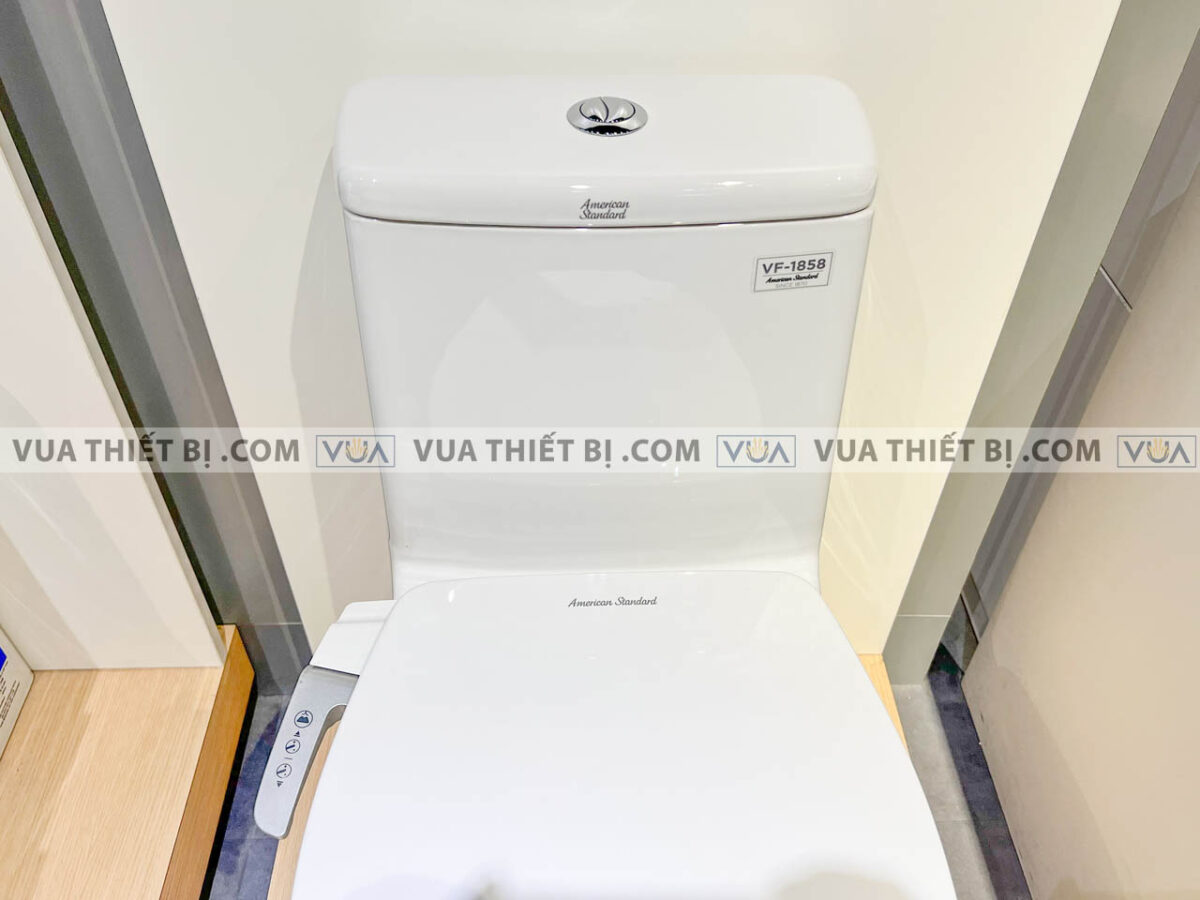 anh thuc te nap rua co american standard cscfa650 17
