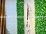anh thuc te sen cay viglacera vg592 1