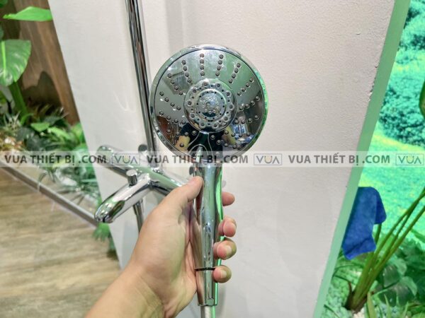 anh thuc te sen cay viglacera vg595 5