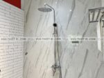 anh thuc te sen cay viglacera vg597 1