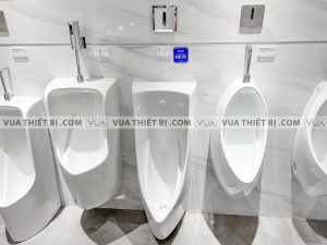 anh thuc te van xa tieu nam toto due126upk cam ung dung pin am tuong 1