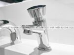 anh thuc te voi chau lavabo toto dl102 chi lanh 2