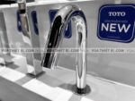 anh thuc te voi chau lavabo toto tle26006a cam ung 1