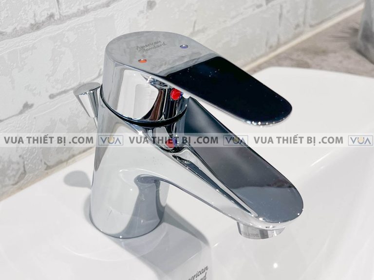 anh thuc te voi lavabo american standard wf 0301 3