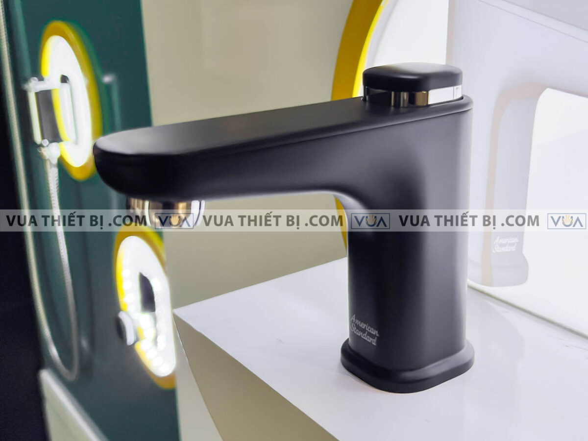 anh thuc te voi lavabo american standard wf t823b 2