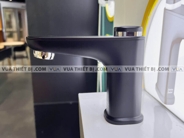 anh thuc te voi lavabo american standard wf t823b 3