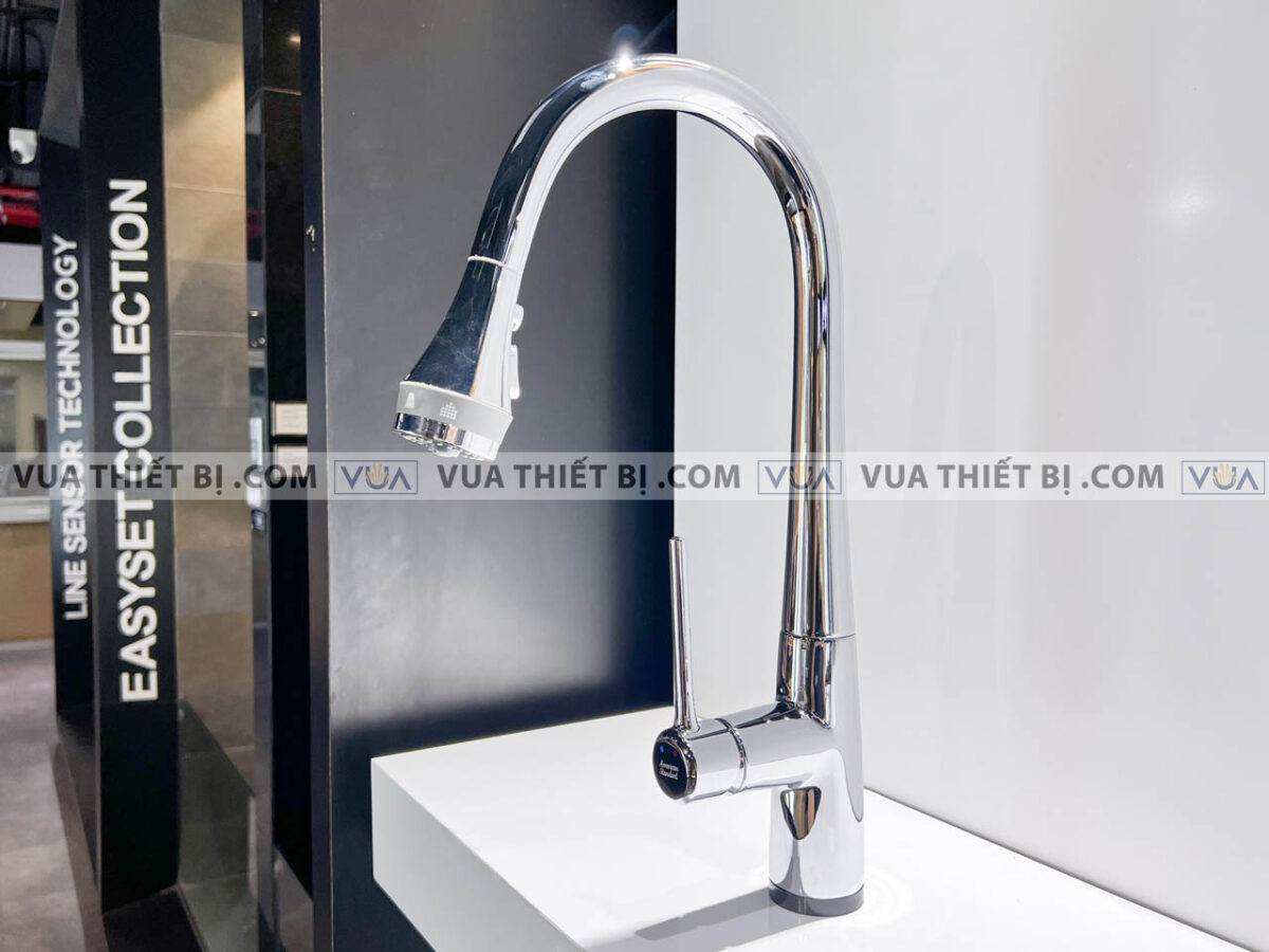 anh thuc te voi rua bat american standard wf 5644 2