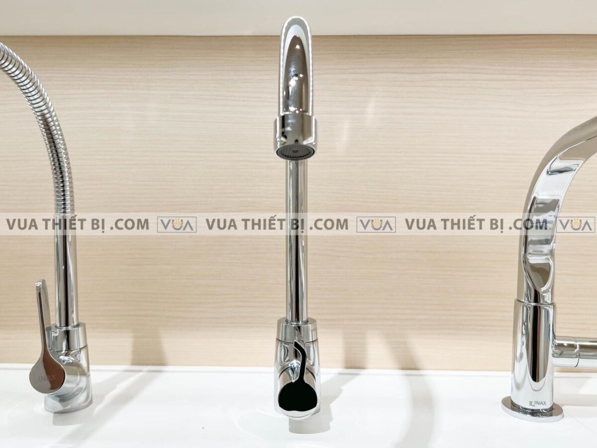 anh thuc te voi rua bat inax sfv 21 3