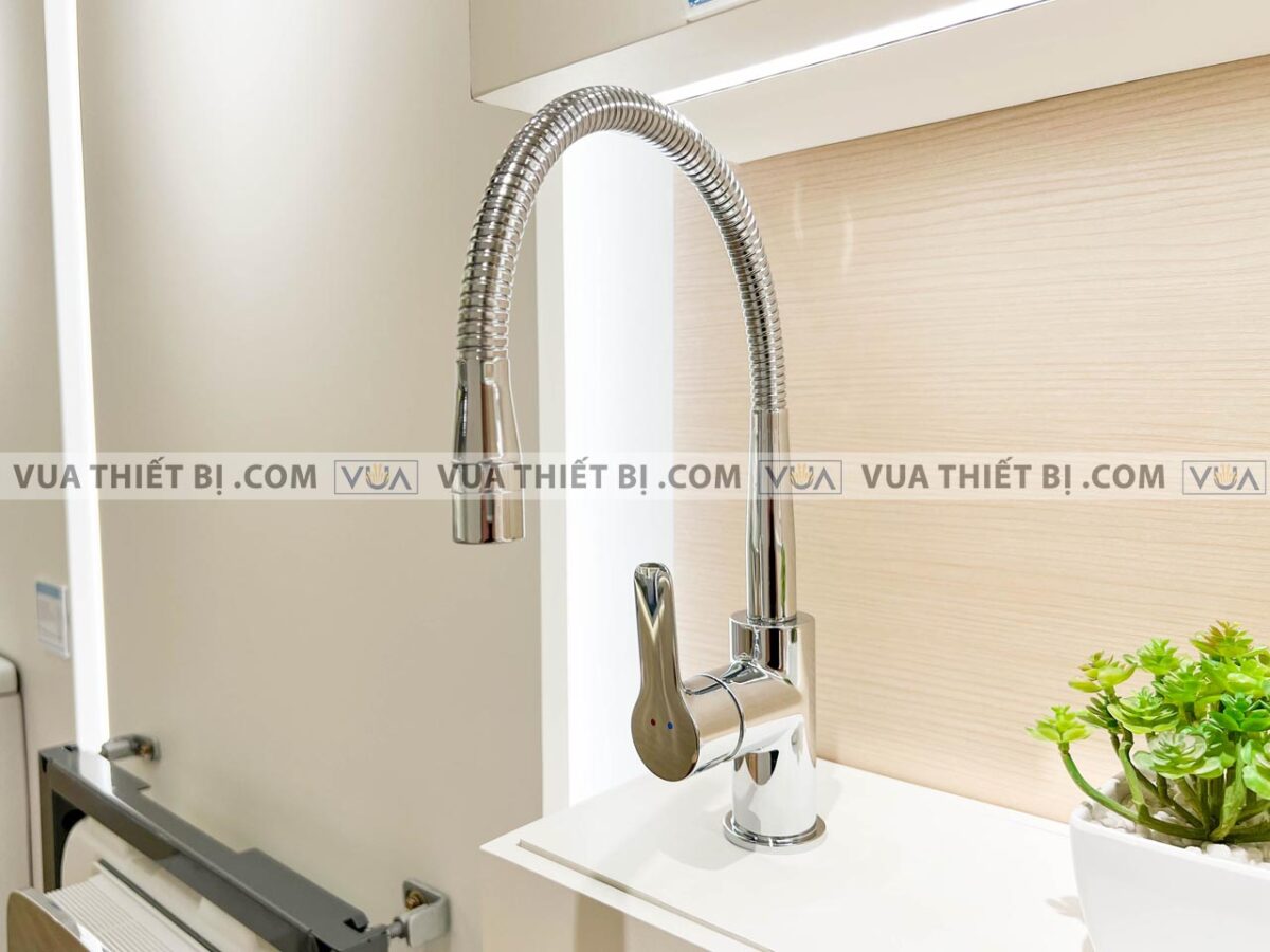 anh thuc te voi rua bat inax sfv 303s 1