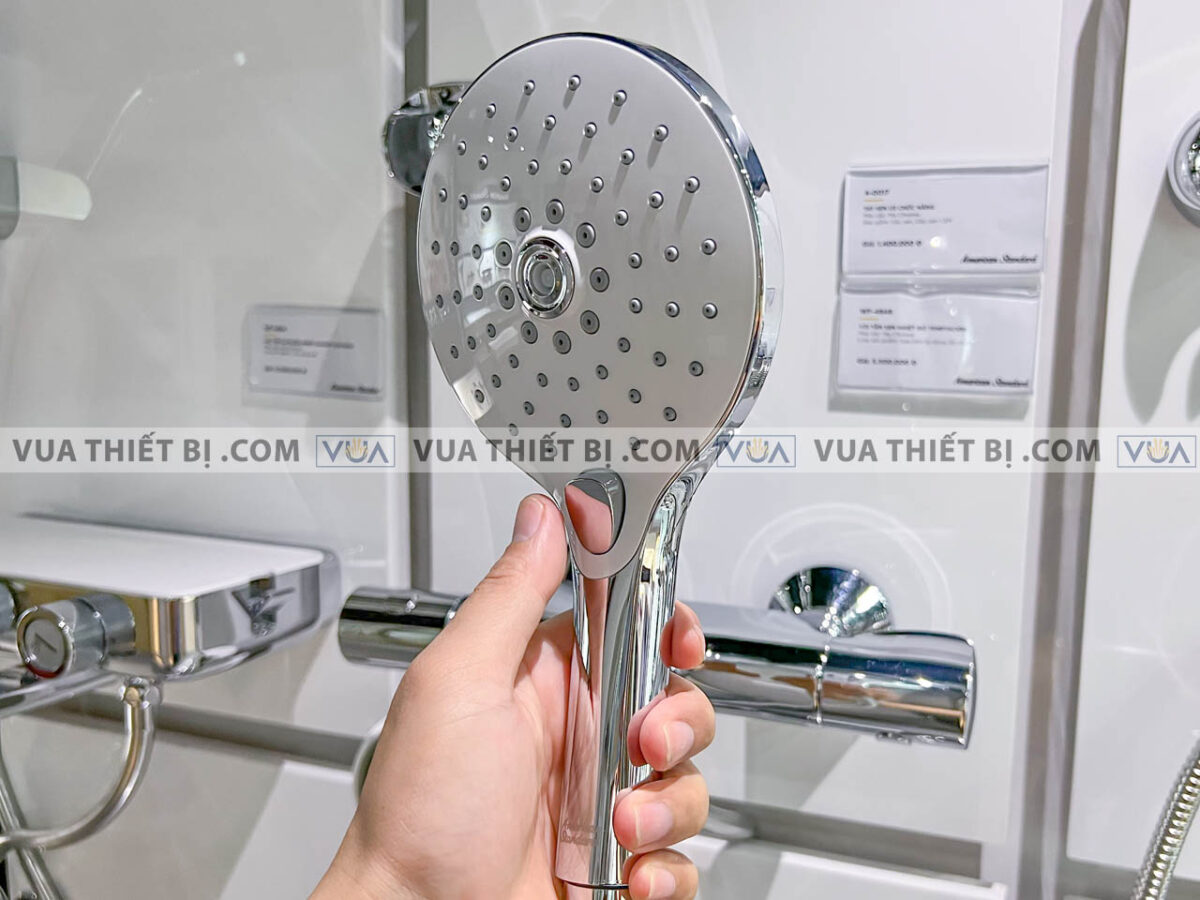 anh thuc te voi sen american standard a 0017 wf 4949 5
