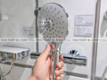 anh thuc te voi sen american standard a 0017 wf 4949 5