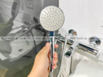 anh thuc te voi sen american standard wf 3911 5