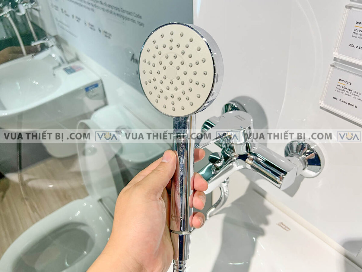 anh thuc te voi sen american standard wf 3913 5