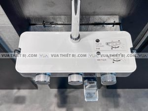 anh thuc te voi sen american standard wf 4956 3