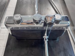 anh thuc te voi sen american standard wf 4956 5