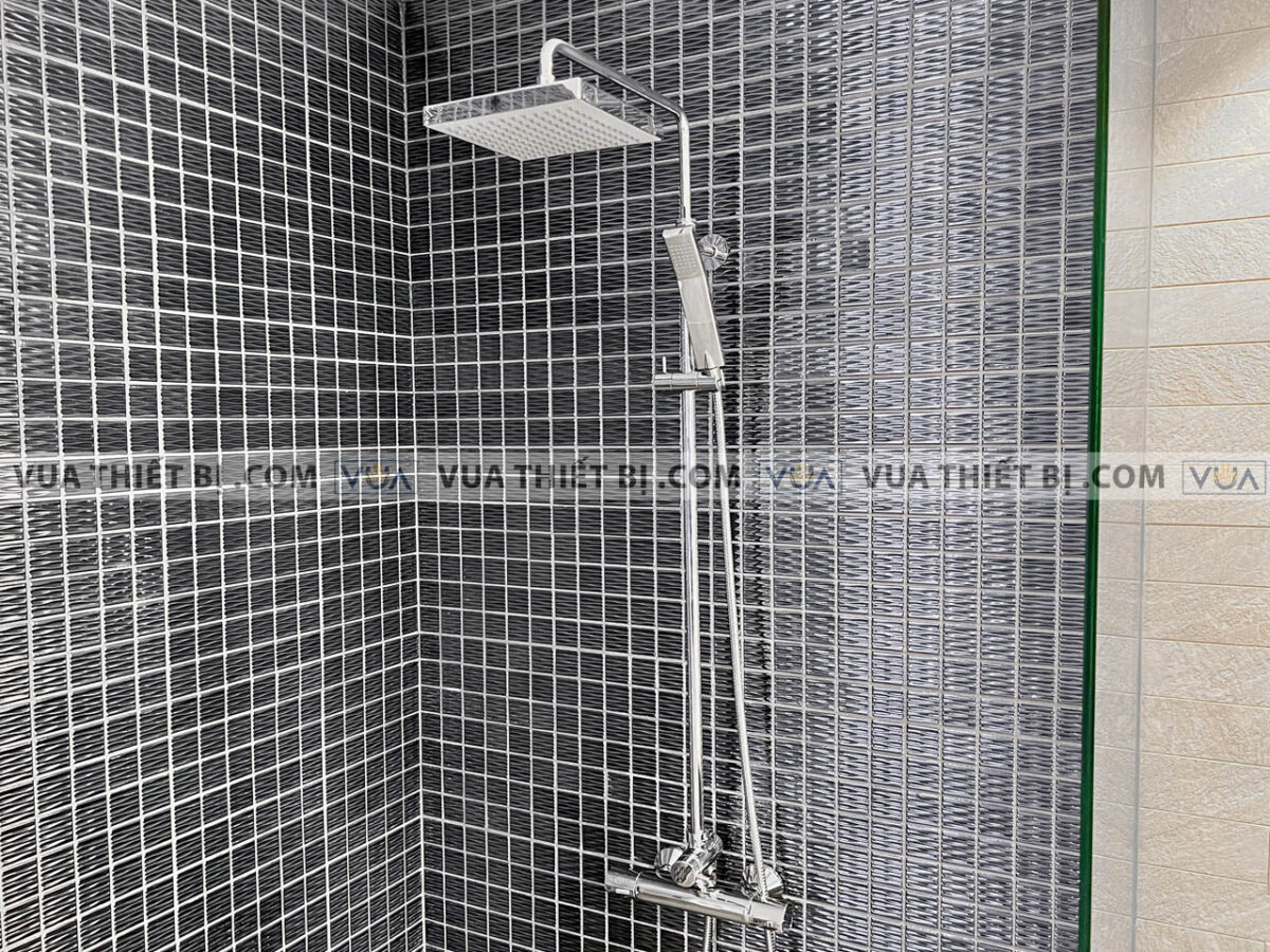 anh thuc te voi sen cay american standard a 6110978903 wf 4948 2