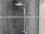 anh thuc te voi sen cay american standard a 6110978903 wf 4948 2